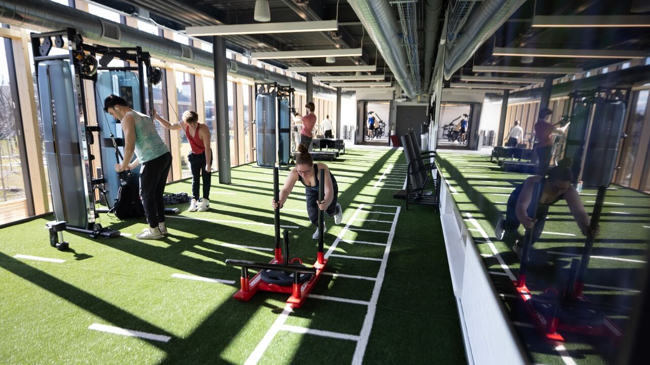 Students using the functional fitness section in the Recreational and Wellness Center