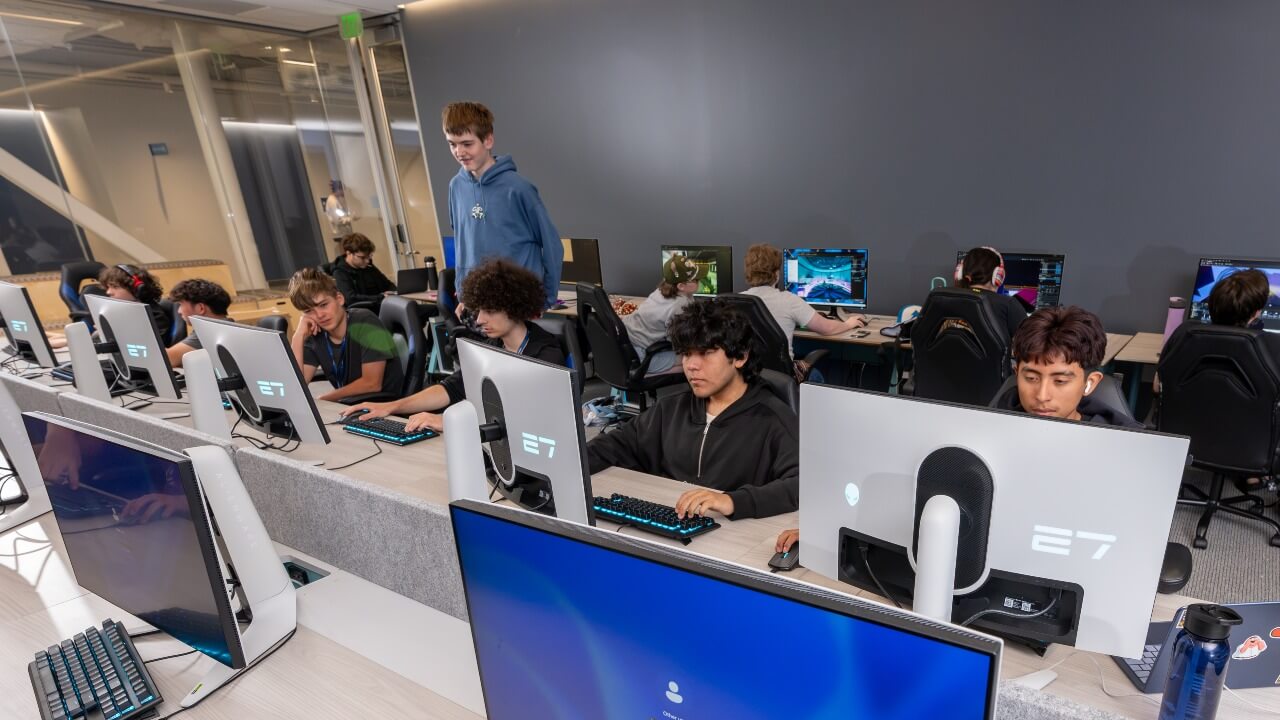 Two rows of students working together on computers